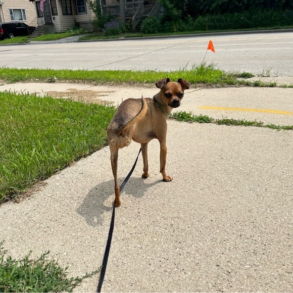 Meet Your Posher - Picture 13 of 16